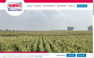 Bimbo Bakeries USA of Rock Falls website