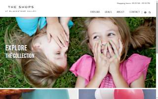 The Shops at Blackstone Valley website