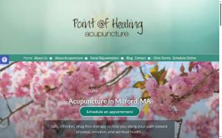 Point of Healing Acupuncture website