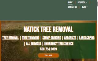 Natick Tree Removal website
