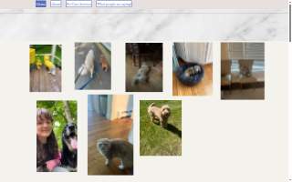 Lucky Dog of Andover website