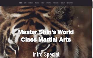 Master Shin's World Class Martial Arts of North Andover website