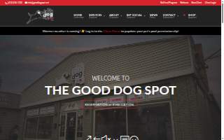 The Good Dog Spot Inc of Chicopee website