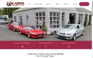 Larin Automotive website