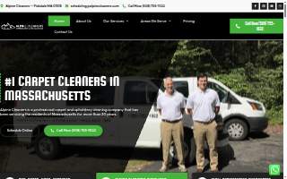 Alpine Cleaners of Palmer website