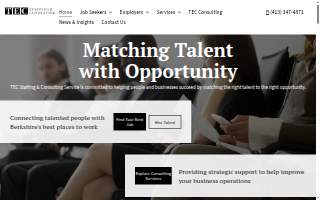 TEC Staffing & Consulting Services, LLC website