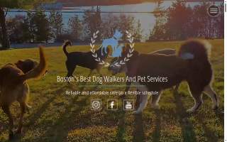 Boston's Best Dog Walkers And Pet Services website