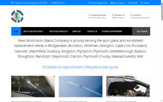 New World Auto Glass Co. website