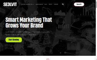 SEOLVIT - Growth Marketing Agency of Revere website