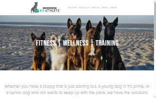 New England K9 Athlete of Rockland website