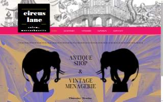 Circus Lane website