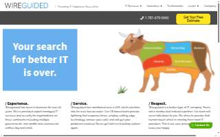 Wireguided website