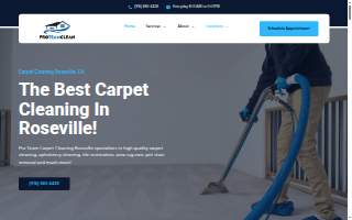 Pro Team Carpet Care of Sharon website