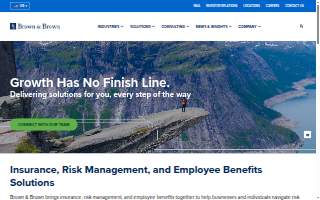 Brown Consulting Engineers website