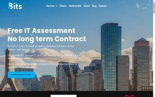 Boston IT Services website