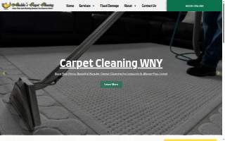 Aladdin's Carpet and Upholstery Cleaning of Stoughton website