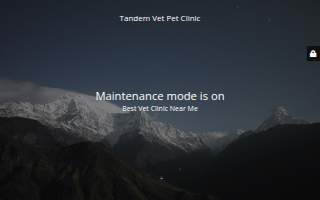 Tandem Veterinary Clinic - East Boston website