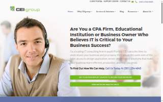 CEI Group website