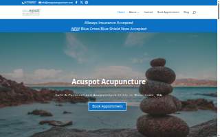 acuSPOT acupuncture website