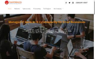 Avanti Networks Inc website