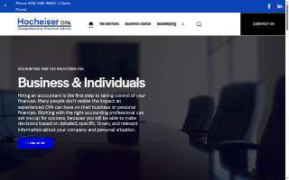 Hocheiser CPA website