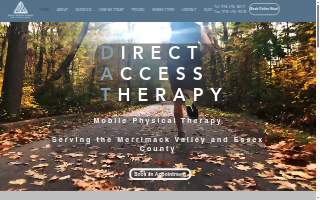 Direct Access Therapy website