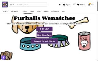 Furballs Pet Grooming website