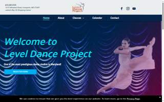 Level Dance Project website