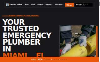 Will Plumbing LLC website