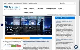 Optimal Solutions Group, LLC website