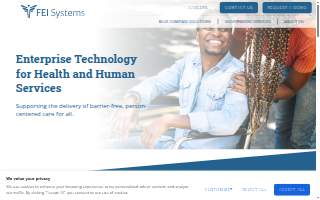 FEI Systems website
