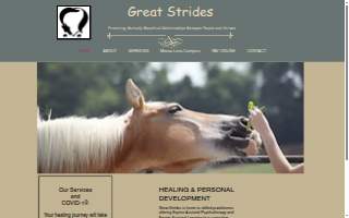 Great Strides website