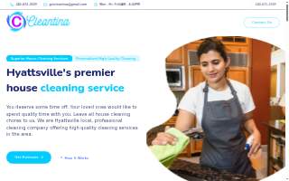 Cleantina website