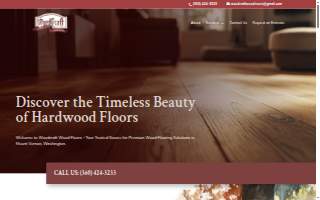 Delectricc LLC website