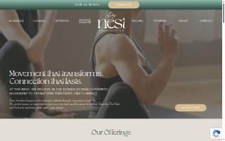 The Nest Movement Studio website