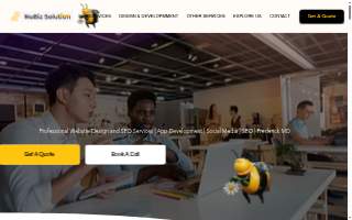 Nubiz Solution website