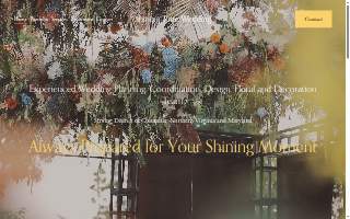 Shining Time Wedding website