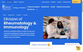 Foam Solutions, Inc of Langley Park website