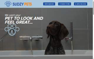 SudzyPets Mobile Grooming website