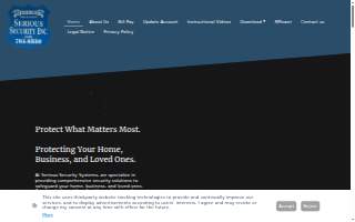 Serious Security Systems Inc website
