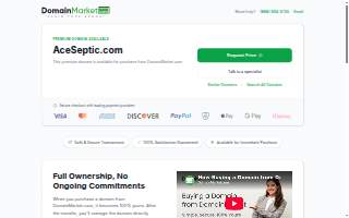 ACE Septic Service website