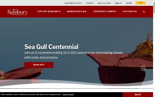 Salisbury Plumbing website