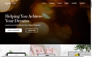 Apricot Branding website