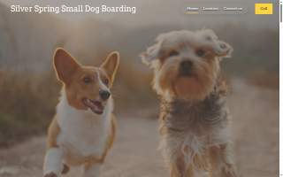 Silver Spring Small Dog Boarding website
