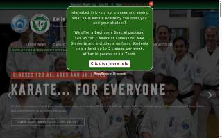 Kells Karate Academy website
