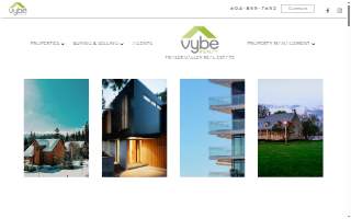 Pete Wong, VYBE Realty website