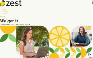 Zest Social Media Solutions website
