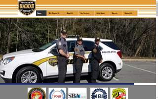 Blackout Investigations & Security Services, Inc. website