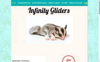 Infinity Gliders website