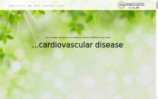 Points To Wellness Clinics of Wheaton website